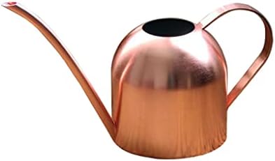 Stainless Steel Watering Kettle Can Long-mouthed Plant Indoor Small Pot Gardening(Metallic) by Unknown