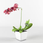 POPETPOP 3pcs Convenient Self-Watering Globe Automatic Plant Watering Tool Unique Cartoon Pig Design for Indoor and Outdoor Potted Plants Easy to Use and Height - Image 6