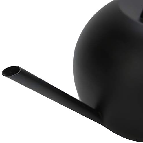 1L Stainless Steel Watering Can with Long Spout for Indoor Plants - Image 4