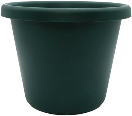 The HC Companies Classic Round Plastic Plant Pot w/Rolled Rim - Lightweight & UV Resistant Flower Pot for Herbs & More - Outdoor & Indoor Plant Pots w/Drainage (14 inch Evergreen, Pack of 1) by TheHCCompanies