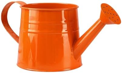 Metal Watering Can for Indoor Outdoor Garden Modern Minimalist Design with Detachable Sprinkler Head Ergonomic Comfort Grip Handle Efficient Irrigation Tool for Flower Lovers and (F, 24.5X11.5X11CM) - Image 3