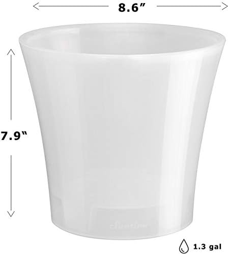 Santino 8.6 Inch ARTE Self Watering Planters (Set of 3) in Transparent Indoor Flower Pot for All House Plants, Flowers and Orchids - Image 2