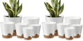 YNNICO Indoor Self Watering Planters with Drainage Holes and Saucers, 8, 7, 6.5, 6, 5.5, 5 Inches, White, 6 Pots (Pack of 2) by AFamilyofGardenLovers