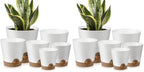 YNNICO Indoor Self Watering Planters with Drainage Holes and Saucers, 8, 7, 6.5, 6, 5.5, 5 Inches, White, 6 Pots (Pack of 2) by AFamilyofGardenLovers