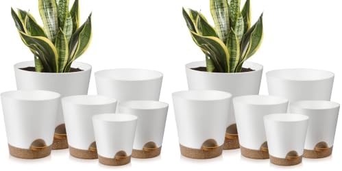 YNNICO Indoor Self Watering Planters with Drainage Holes and Saucers, 8, 7, 6.5, 6, 5.5, 5 Inches, White, 6 Pots (Pack of 2) by AFamilyofGardenLovers