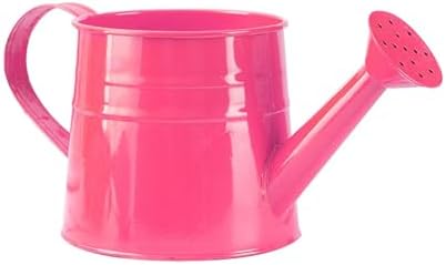 Metal Watering Can for Indoor Outdoor Garden Modern Minimalist Design with Detachable Sprinkler Head Ergonomic Comfort Grip Handle Efficient Irrigation Tool for Flower Lovers and (I, 24.5X11.5X11CM) - Image 3