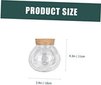 2pcs Glass Hydroponic Plant Bottle Decorative Container - Image 2