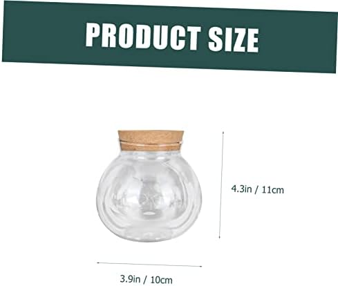 2pcs Glass Hydroponic Plant Bottle Decorative Container - Image 2