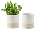 Nihow Ceramic Self Watering Plant Pot for Indoor Plants, 4.5 Inch,Set of 2 by Nihow