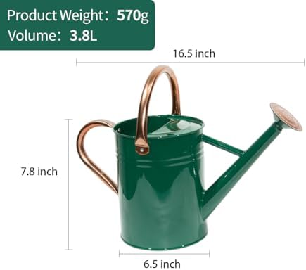 Metal Watering Can 1 Gallon for Outdoor Garden Plants, Green - Image 2