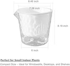 8.5 Inch Self Watering Plant Pots for Indoor Plants 6 Packs African Violet Pot, Self Watering Planters for Herb, Orchid, Devil's Ivy, Flower Houseplant Planters, Clear Plant Pots, White - Image 5