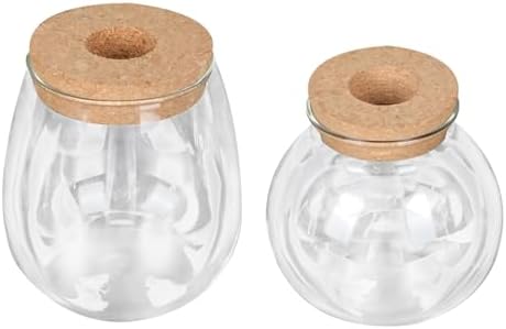 2pcs Glass Hydroponic Plant Bottle Decorative Container by cabilock