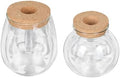 2pcs Glass Hydroponic Plant Bottle Decorative Container by cabilock