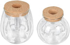 2pcs Glass Hydroponic Plant Bottle Decorative Container by cabilock