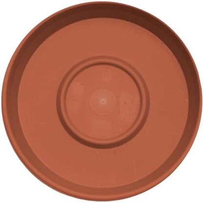 Bloem Terra Plastic Saucer Tray for 14" Terra Planters, Terra Cotta, 2-Pack - Image 4