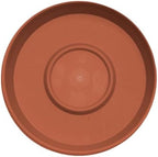 Bloem Terra Plastic Saucer Tray for 8" Terra Planters, Terra Cotta, 6-Pack - Image 4