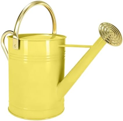 Gold Galvanized Iron Watering Can for Indoor Plants, DIY Watering Cans for House Plant Garden Flower, Long Spout Water Can for Outdoor Watering Plants 6.44L 1.7Gallon (Beige) by Longrun