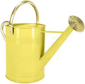Gold Galvanized Iron Watering Can for Indoor Plants, DIY Watering Cans for House Plant Garden Flower, Long Spout Water Can for Outdoor Watering Plants 6.44L 1.7Gallon (Beige) by Longrun