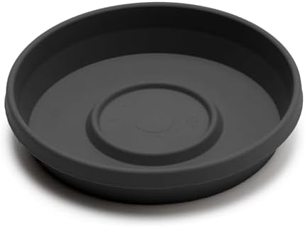 Bloem Terra Plastic Saucer Tray for 8" Terra Planters, Black, 6-Pack - Image 3