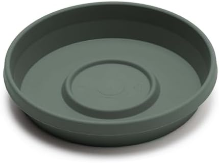 Bloem Terra Plastic Saucer Tray for 14" Terra Planters, Basil, 2-Pack - Image 3