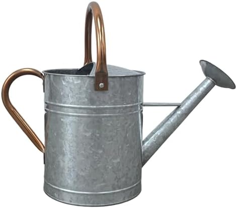 Plexon Large Metal Watering Can Outdoor 2 Gallon - Flower Plant Gardening Garden Watering Can Pot, Bronze Galvanized Steel Handles and Removable Spray Spout, Silver - Image 4