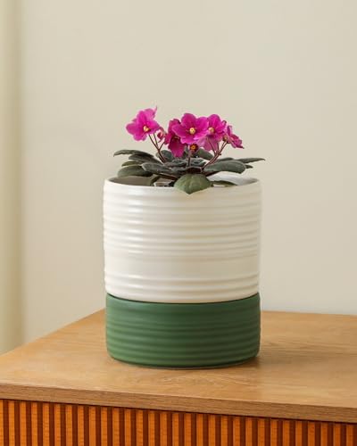 Fayoula Self Watering Pots for Indoor Plants, 6 Inch Ceramic Self Watering Plant Pot, Planter Pot with Wick Rope and Drainage Hole for African Violet Succulent Herbs (White Matte) - Image 4