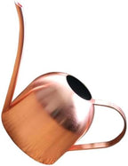 Stainless Steel Watering Can 1000ml Long Mouth with Handle by Unknown