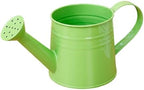 1L Retro Metal Painted Watering Can with Long Spout & Handle by Unknown