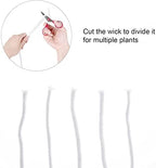 Self Watering Capillary Wick Cord Vacation Plant Sitter, for DIY Self-Watering Planter Pot Automatic Water Wicking Hydroponic 20m - Image 4
