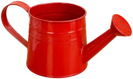 1L Retro Metal Painted Watering Can with Long Spout & Handle - Image 2