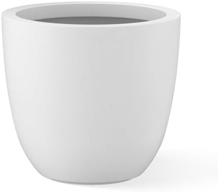 Kante Small Round Bowl White Concrete Planter 10" Dia, Outdoor by Unknown