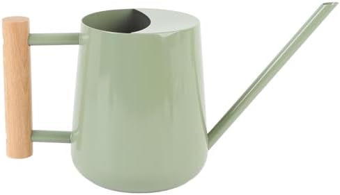 Watering Can for Indoor Plants: Small Stainless Steel Metal Watering Jug with Long Spout and Wood Handle, 1L Mini Plant Waterer Pot for Houseplant Bonsai Outdoor Garden by YosooHealthGear