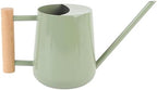 Watering Can for Indoor Plants: Small Stainless Steel Metal Watering Jug with Long Spout and Wood Handle, 1L Mini Plant Waterer Pot for Houseplant Bonsai Outdoor Garden by YosooHealthGear