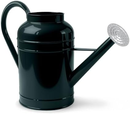 LONGRUN 2.3 Gallon Dark Green Metal Watering Can for Plants and Garden with Removable Spout, Made of Galvanized Iron by Longrun
