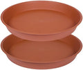 2 Pack of 22 inch Plant Saucer (19.1 inch Base), 3.6" Depth Tray, Large Deep Heavy Duty Saucers for Pots, Garden Bird Bath Bowl, Plant Trays for Indoors Outdoor (22", Terracotta) by Bleuhome