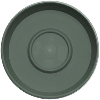Bloem Terra Plastic Saucer Tray for 14" Terra Planters, Basil, 2-Pack - Image 4