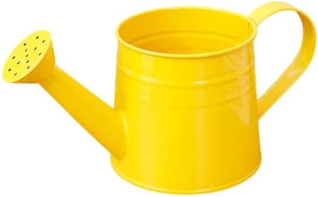 1L Retro Metal Painted Watering Can with Long Spout & Handle by Unknown
