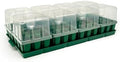 Vego garden 8 Pack Standard Seedling Trays with Seedling Tray Lids and 10" x 20" Bottom Watering Trays Seedling Suite by VegoGarden