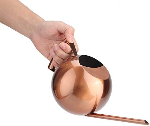 WALFRONT Stainless Steel Watering Can Long Spout 1L Capacity Ergonomic - Image 7