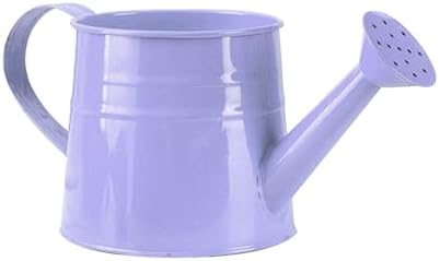Galvanized Shower Bucket Tinplate Watering Kettle Small Flower Pot Indoor Outdoor Watering Can Garden Container with Handle (D, One Size) by Unknown
