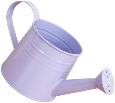 1L Retro Metal Painted Watering Can with Long Spout & Handle - Image 2