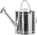 Watering Can, 1 PC by Unknown