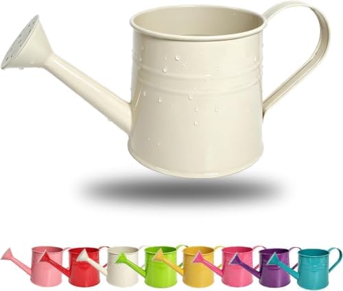 Green 1l Small Watering Can – Retro Metal,Sprinkler Head,Spray Spout for Indoor Plants,Kids,Outdoor Flowers & House by Unknown