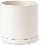 D'vine Dev Plastic Planter Pot with Saucer, 16 in, Oatmeal, 74-X-H-5 by DvineDevPlanterPotsandStand