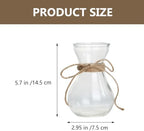 3pcs Glass Vase for Hydroponic Plants, Decorative Flower Display Xmas - Image 2