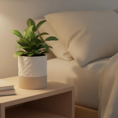 Nihow Ceramic Self Watering Plant Pot for Indoor Plants, 6 Inch,Cream White - Image 7