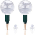 23 oz Up to 2 Weeks Extra Large Glass Plant Watering Globe, Slow Release by SoilaguaDirect