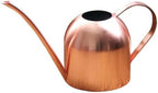 Stainless Steel Watering Can 1000ml with Long Mouth, Ergonomic Handle by SEWACC
