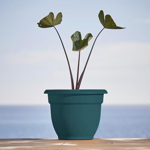 Bloem Ariana 10" Plastic Self-Watering Planter, Charleston Green, 4-Pack - Image 2