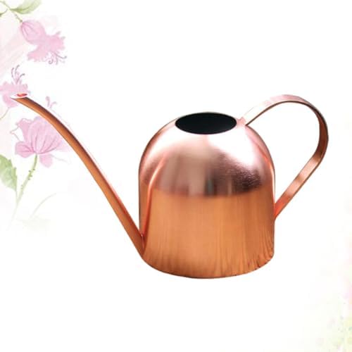Ml Stainless Steel Watering Can with Long Spout and Handle - Image 5